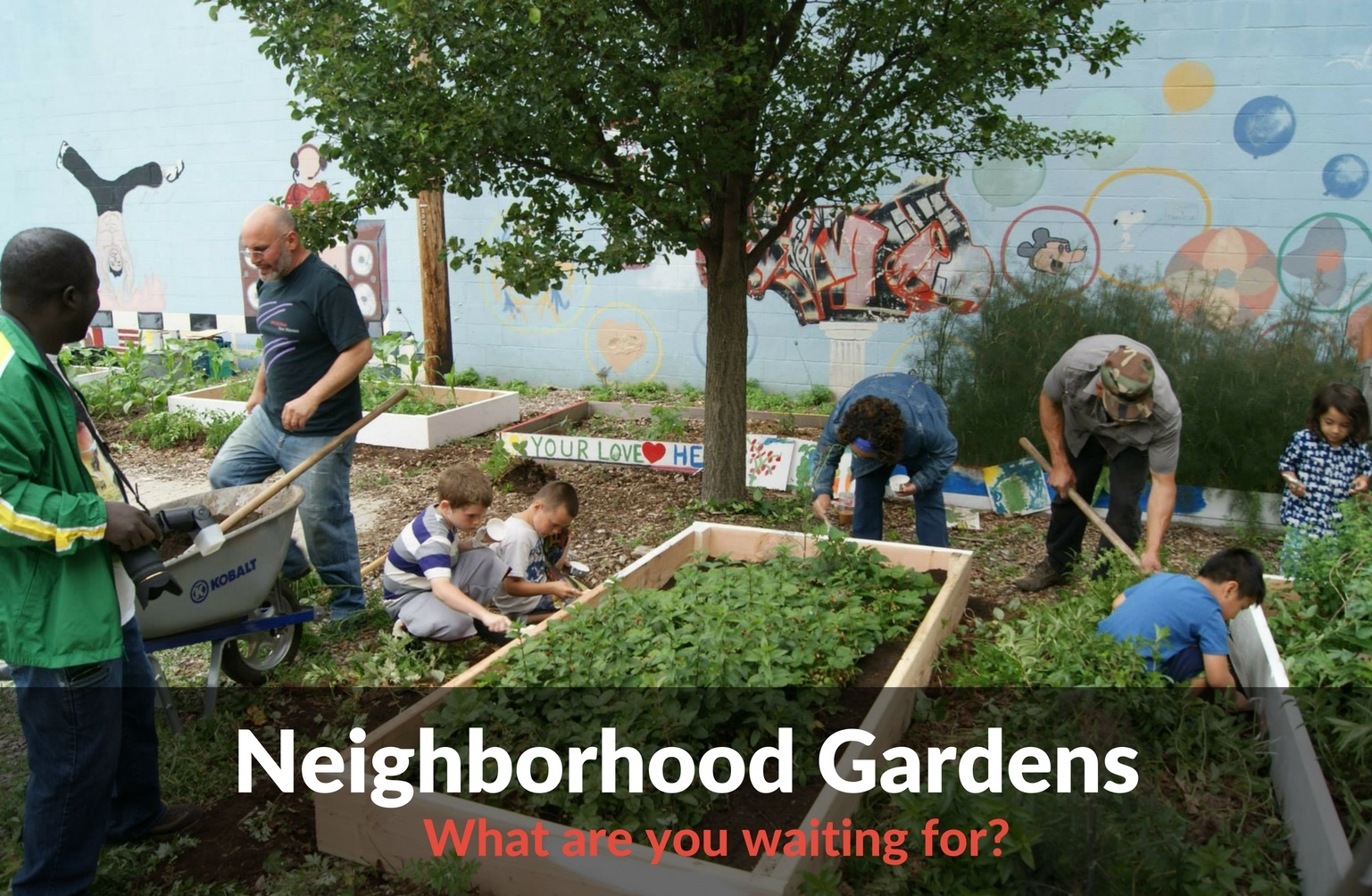 Neighborhood Gardens - What Are You Waiting For?